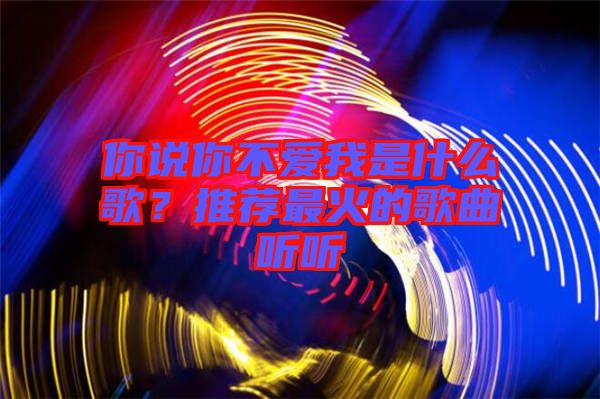 你說你不愛我是什么歌？推薦最火的歌曲聽聽