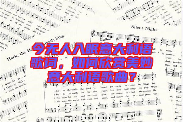 今無人入眠意大利語歌詞，如何欣賞美妙意大利語歌曲？