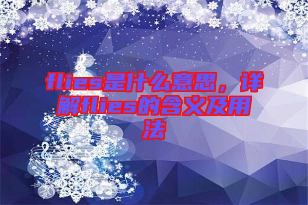 flies是什么意思，詳解flies的含義及用法