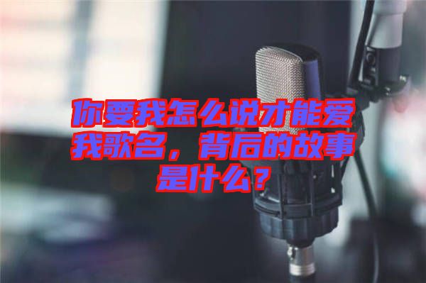 你要我怎么說(shuō)才能愛(ài)我歌名，背后的故事是什么？