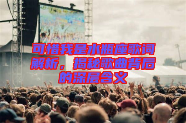 可惜我是水瓶座歌詞解析，揭秘歌曲背后的深層含義