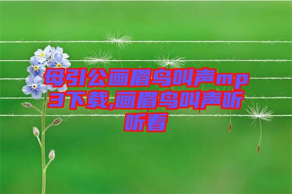 母引公畫(huà)眉鳥(niǎo)叫聲mp3下載,畫(huà)眉鳥(niǎo)叫聲聽(tīng)聽(tīng)看