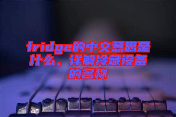 fridge的中文意思是什么，詳解冷藏設備的名稱