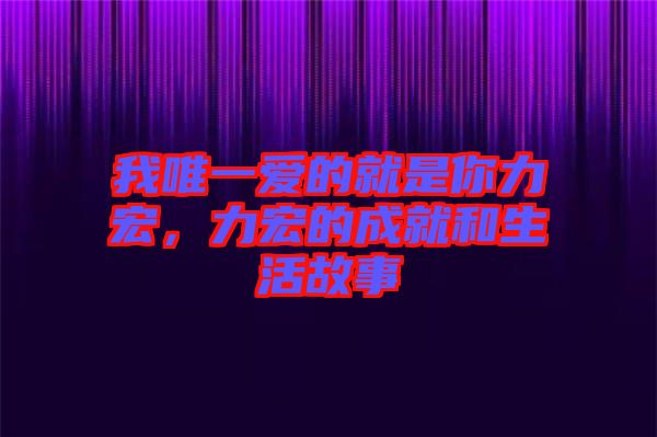 我唯一愛(ài)的就是你力宏，力宏的成就和生活故事