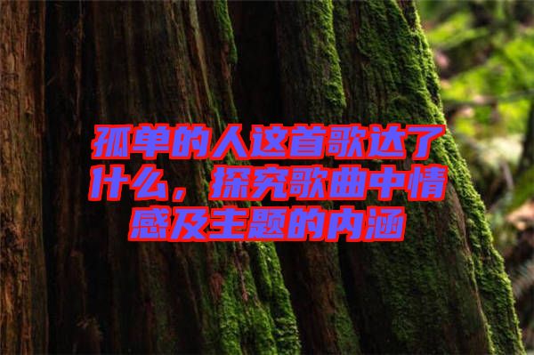 孤單的人這首歌達(dá)了什么，探究歌曲中情感及主題的內(nèi)涵