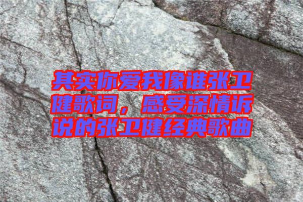 其實你愛我像誰張衛(wèi)健歌詞，感受深情訴說的張衛(wèi)健經(jīng)典歌曲