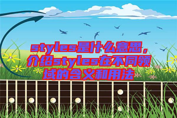 styles是什么意思，介紹styles在不同領(lǐng)域的含義和用法