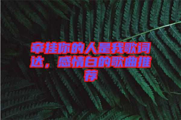 牽掛你的人是我歌詞達(dá)，感情白的歌曲推薦