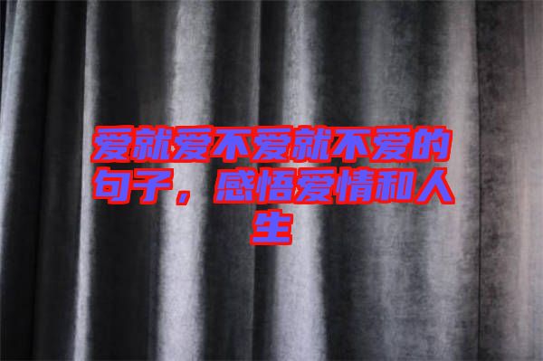 愛就愛不愛就不愛的句子，感悟愛情和人生