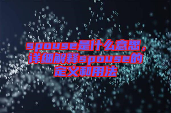 spouse是什么意思，詳細(xì)解釋spouse的定義和用法