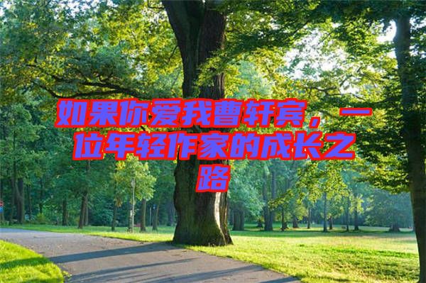 如果你愛我曹軒賓，一位年輕作家的成長(zhǎng)之路