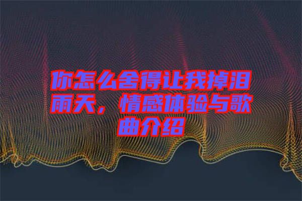 你怎么舍得讓我掉淚雨天，情感體驗(yàn)與歌曲介紹