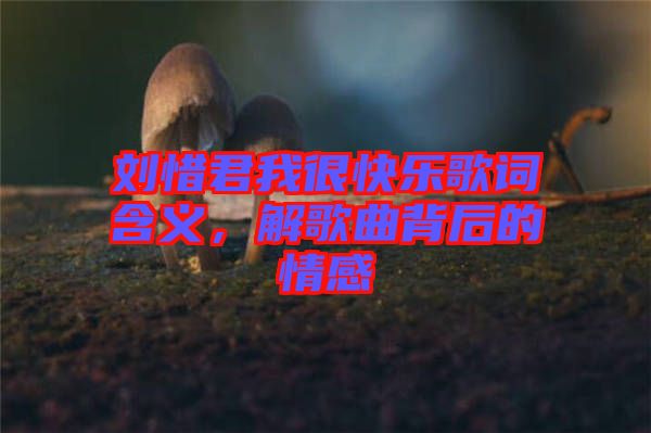 劉惜君我很快樂歌詞含義，解歌曲背后的情感