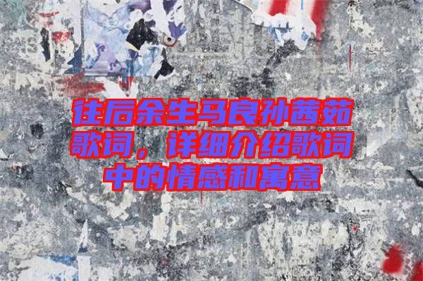 往后余生馬良孫茜茹歌詞，詳細介紹歌詞中的情感和寓意