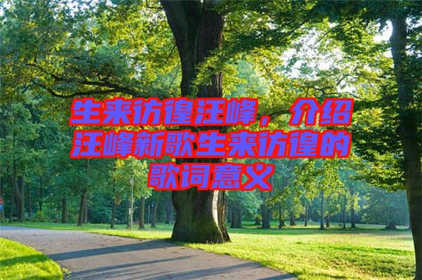 生來彷徨汪峰，介紹汪峰新歌生來彷徨的歌詞意義