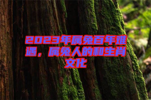 2023年屬兔百年難遇，屬兔人的和生肖文化