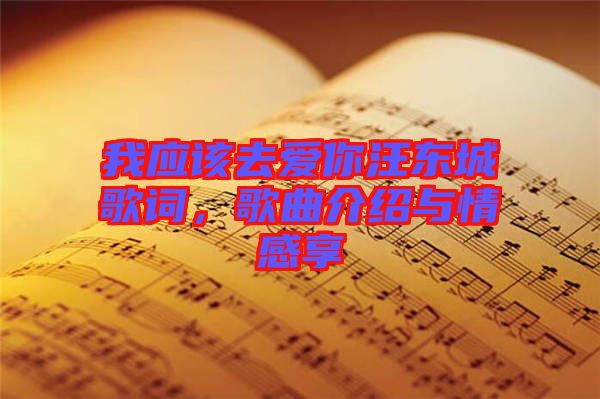 我應(yīng)該去愛你汪東城歌詞，歌曲介紹與情感享