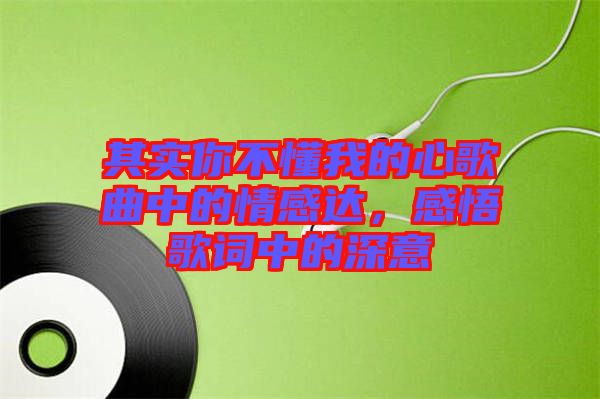 其實(shí)你不懂我的心歌曲中的情感達(dá)，感悟歌詞中的深意