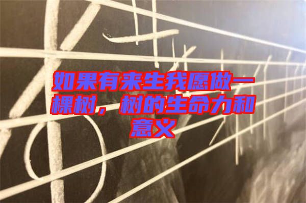 如果有來(lái)生我愿做一棵樹(shù)，樹(shù)的生命力和意義