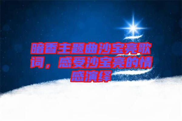 暗香主題曲沙寶亮歌詞，感受沙寶亮的情感演繹