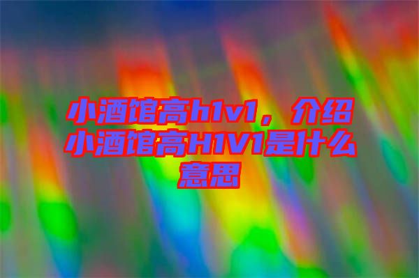 小酒館高h1v1，介紹小酒館高H1V1是什么意思