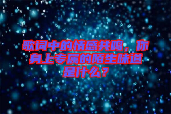 歌詞中的情感共鳴，你身上專屬的陌生味道是什么？