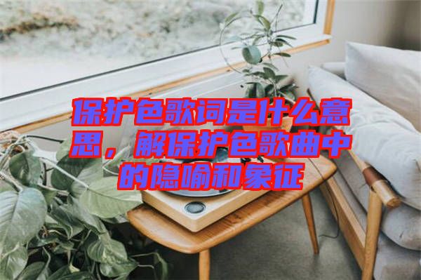 保護(hù)色歌詞是什么意思，解保護(hù)色歌曲中的隱喻和象征