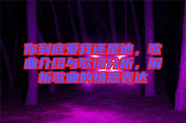 你到底愛我還是他，歌曲介紹與歌詞分析，解析歌曲的情感表達