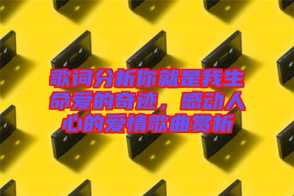 歌詞分析你就是我生命愛的奇跡，感動人心的愛情歌曲賞析