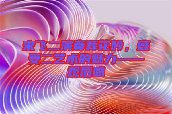 宋飛二演奏葬花吟，感受二藝術(shù)的魅力——觀后感