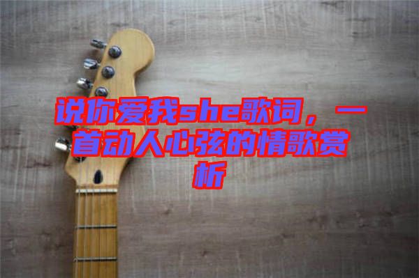 說你愛我she歌詞，一首動人心弦的情歌賞析