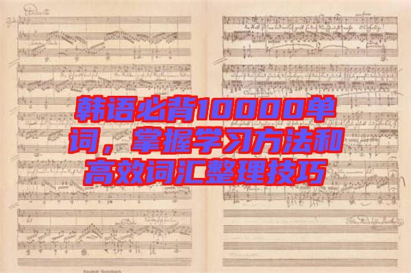 韓語必背10000單詞，掌握學(xué)習(xí)方法和高效詞匯整理技巧