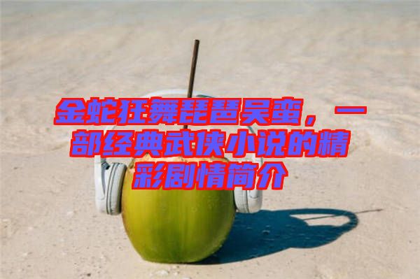 金蛇狂舞琵琶吳蠻，一部經典武俠小說的精彩劇情簡介