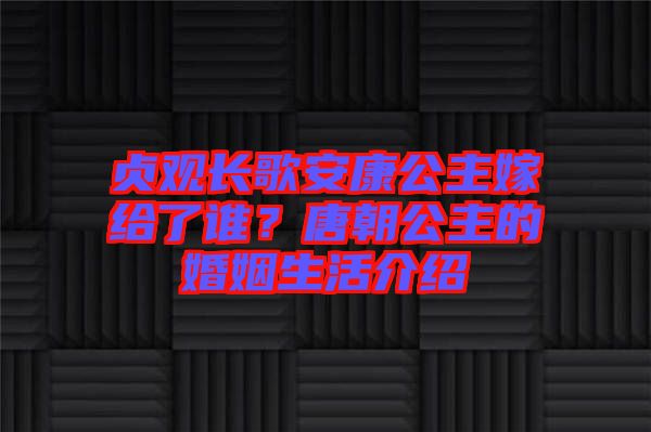 貞觀長歌安康公主嫁給了誰？唐朝公主的婚姻生活介紹