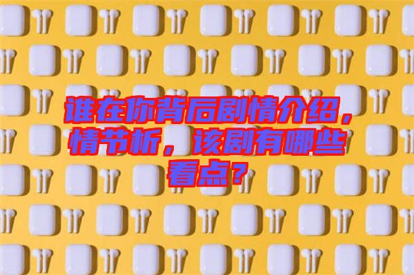 誰在你背后劇情介紹，情節(jié)析，該劇有哪些看點(diǎn)？