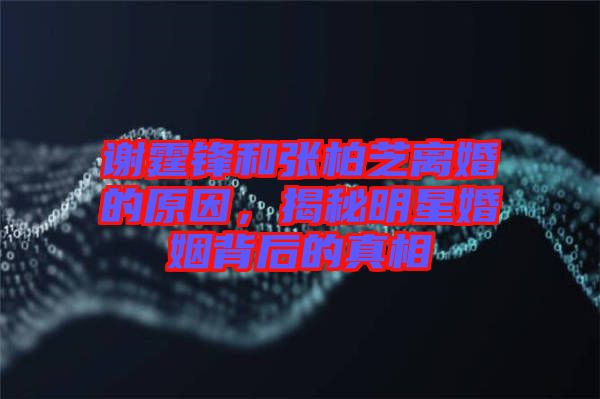 謝霆鋒和張柏芝離婚的原因，揭秘明星婚姻背后的真相