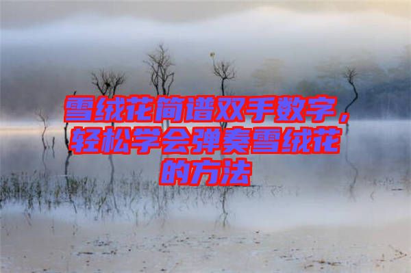 雪絨花簡(jiǎn)譜雙手?jǐn)?shù)字，輕松學(xué)會(huì)彈奏雪絨花的方法