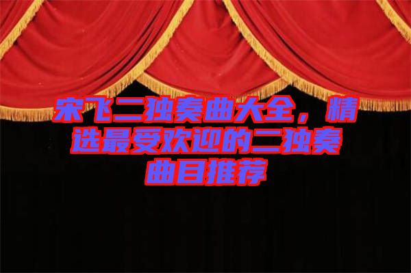 宋飛二獨奏曲大全，精選最受歡迎的二獨奏曲目推薦