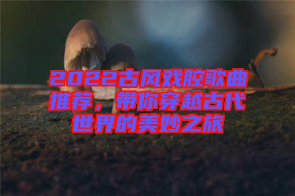 2022古風(fēng)戲腔歌曲推薦，帶你穿越古代世界的美妙之旅