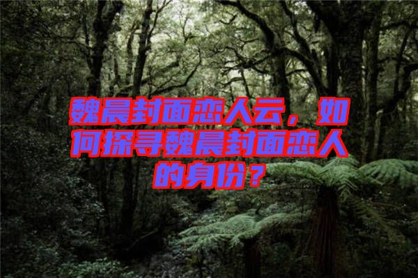 魏晨封面戀人云，如何探尋魏晨封面戀人的身份？