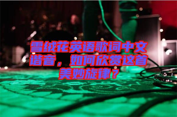 雪絨花英語歌詞中文諧音，如何欣賞這首美妙旋律？