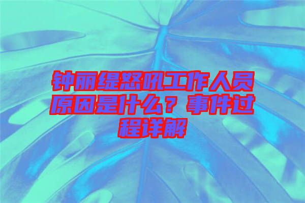 鐘麗緹怒吼工作人員原因是什么？事件過程詳解