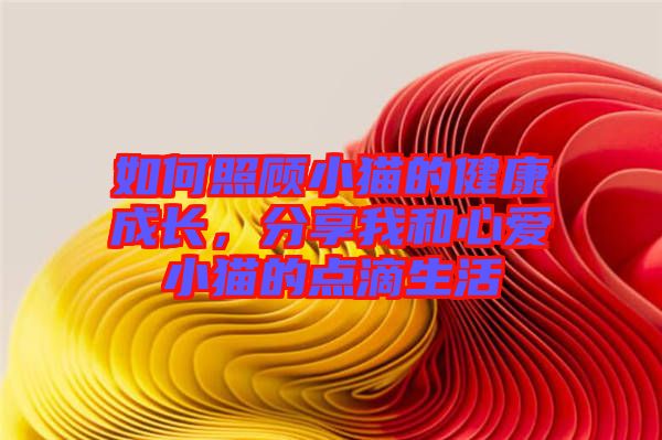 如何照顧小貓的健康成長(zhǎng)，分享我和心愛小貓的點(diǎn)滴生活