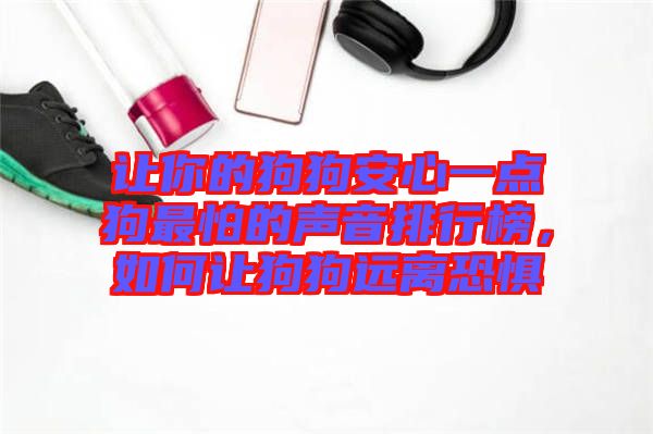 讓你的狗狗安心一點狗最怕的聲音排行榜，如何讓狗狗遠(yuǎn)離恐懼