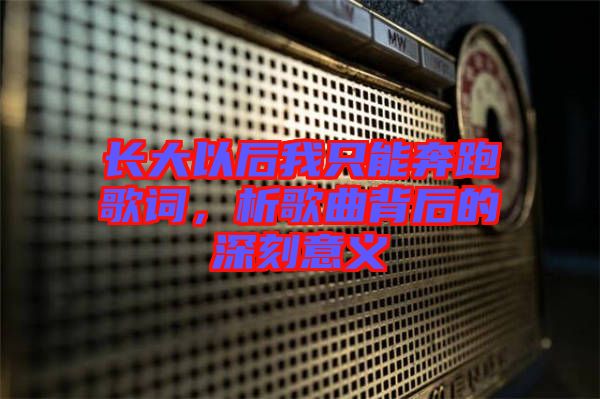 長大以后我只能奔跑歌詞，析歌曲背后的深刻意義