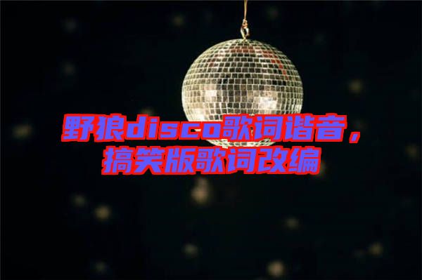 野狼disco歌詞諧音，搞笑版歌詞改編