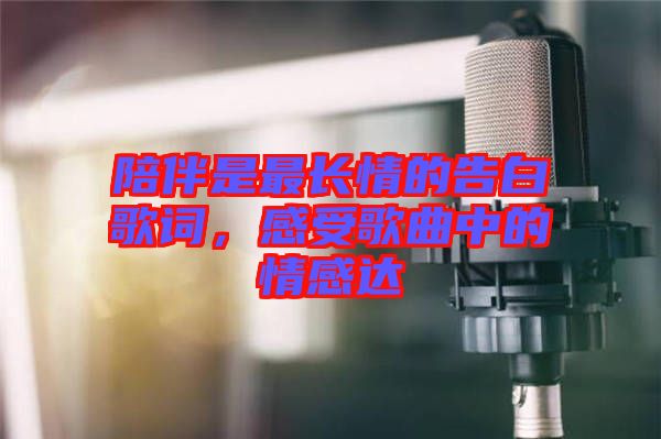 陪伴是最長情的告白歌詞，感受歌曲中的情感達(dá)